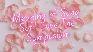 meaning of song soft love the symposium