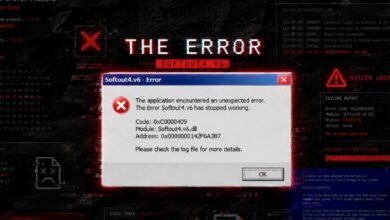 The Error Softout4.v6